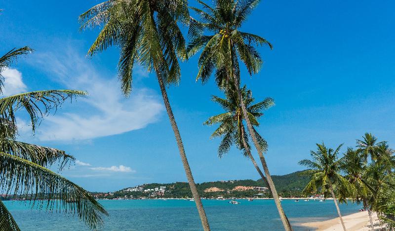 Отель B House Samui Банг-Рак Экстерьер фото
